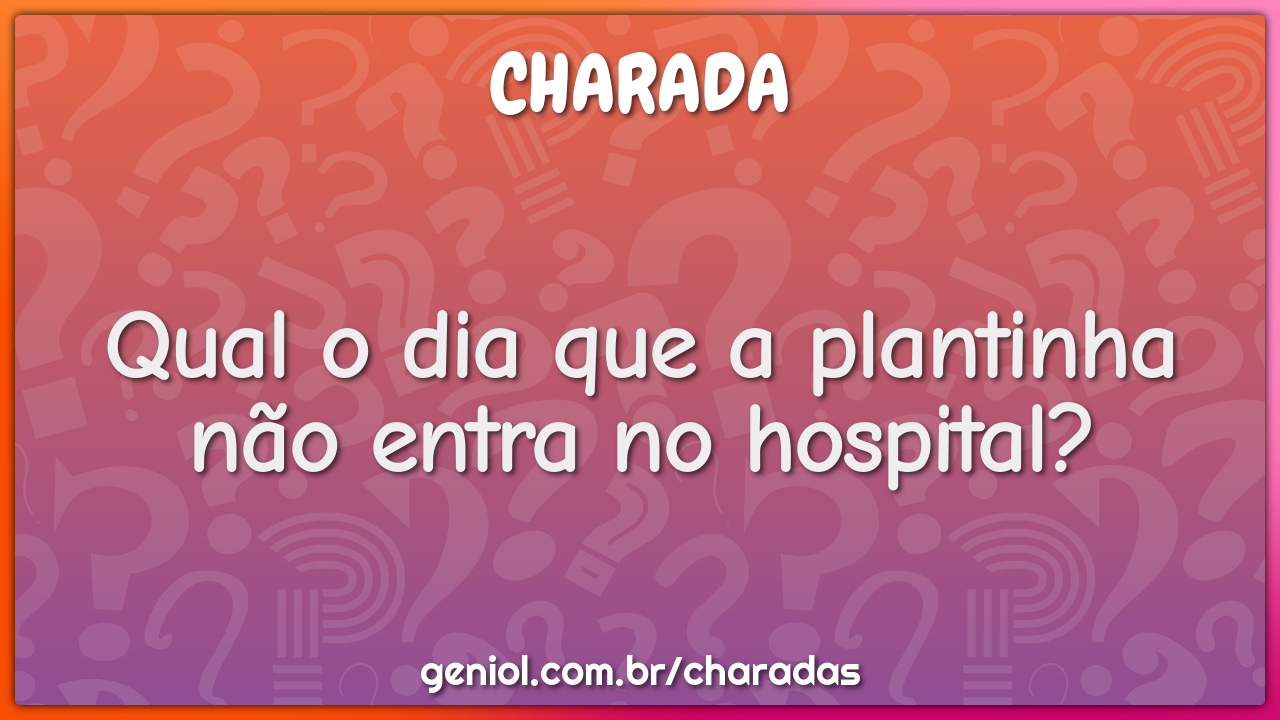 Qual o dia que a plantinha não entra no hospital?