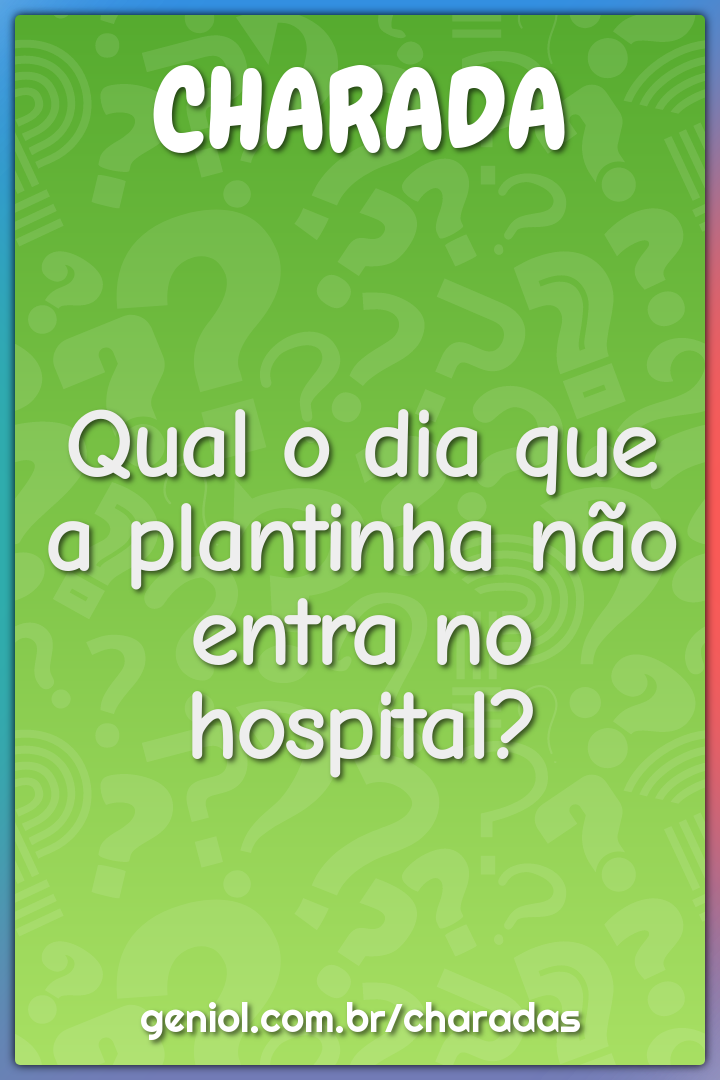 Qual o dia que a plantinha não entra no hospital?