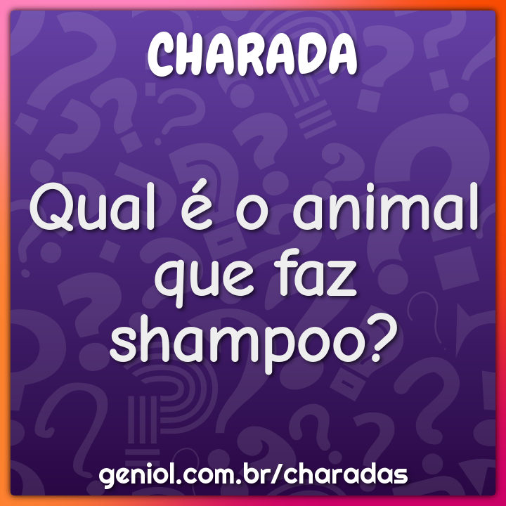 Qual é o animal que faz shampoo? - Charada e Resposta - Geniol