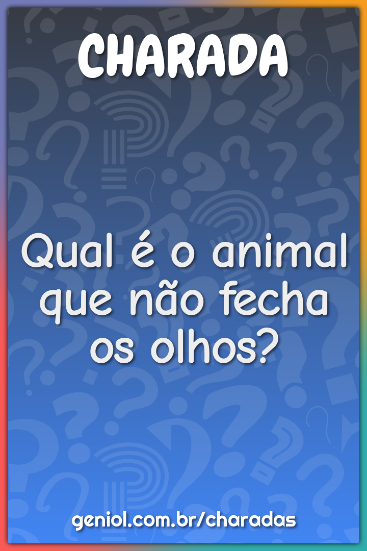 Qual é o animal que não fecha os olhos?