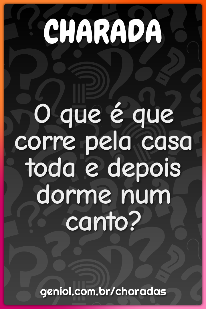 O que é que corre pela casa toda e depois dorme num canto?