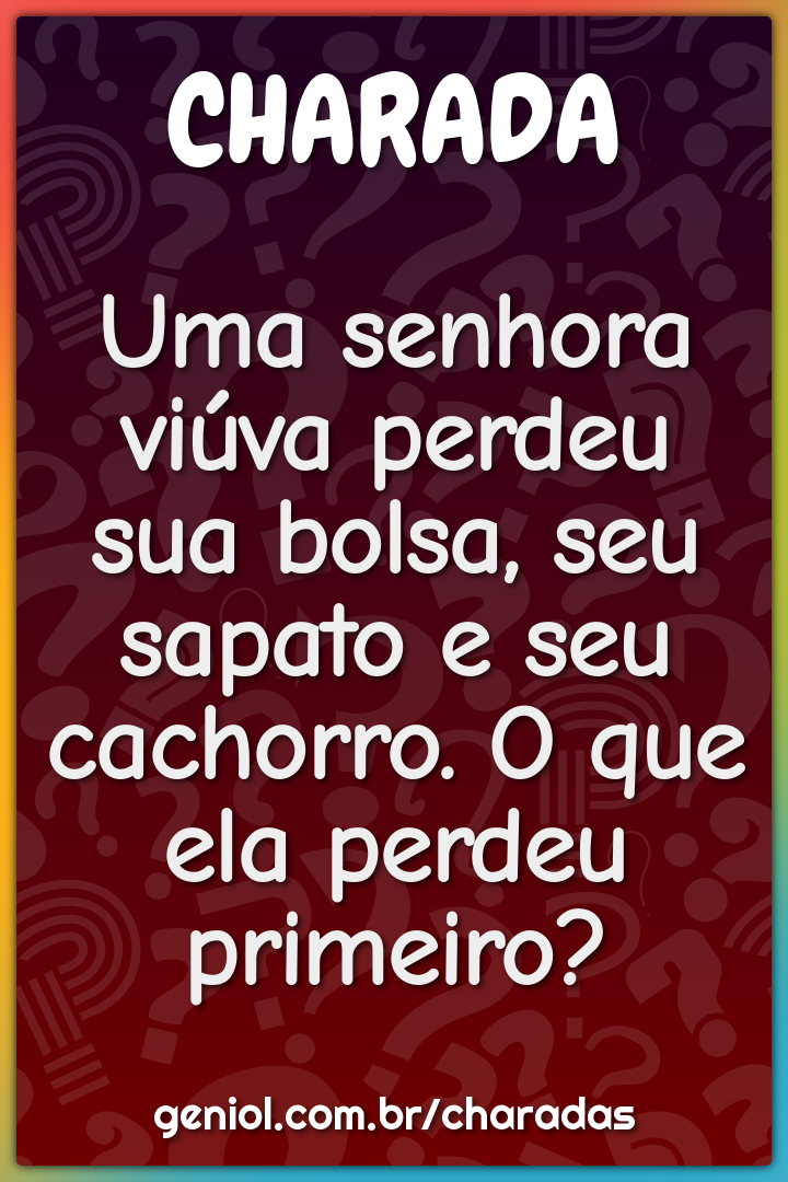 Uma senhora viúva perdeu sua bolsa, seu sapato e seu cachorro. O que...