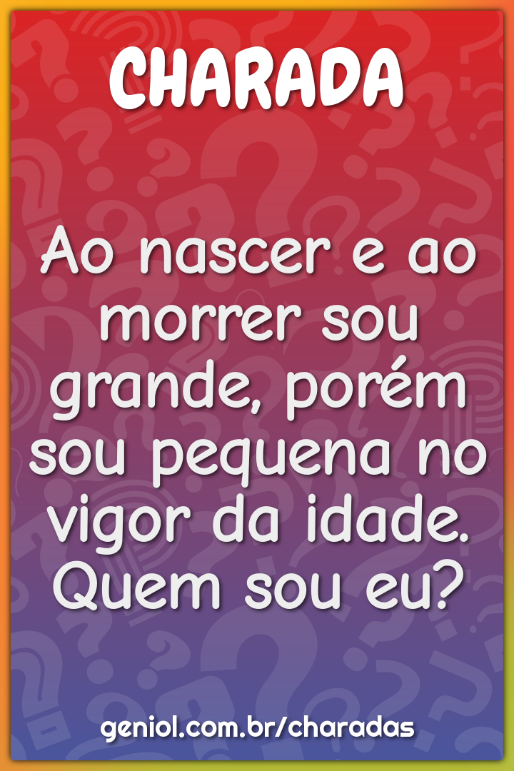 Ao nascer e ao morrer sou grande, porém sou pequena no vigor da idade....