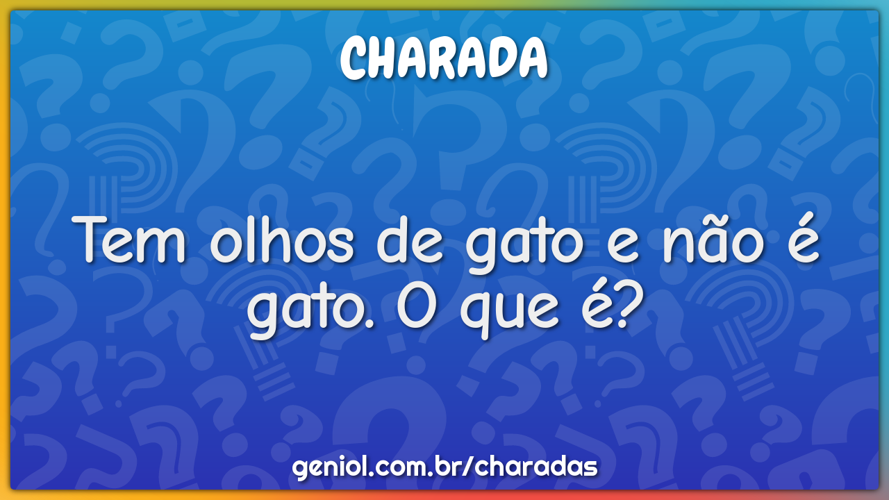 Tem olhos de gato e não é gato. O que é?