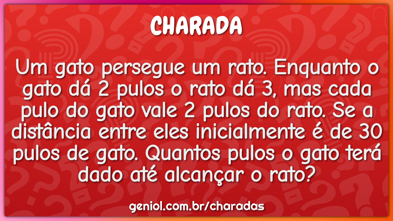 Um gato persegue um rato. Enquanto o gato dá 2 pulos o rato dá 3, mas...