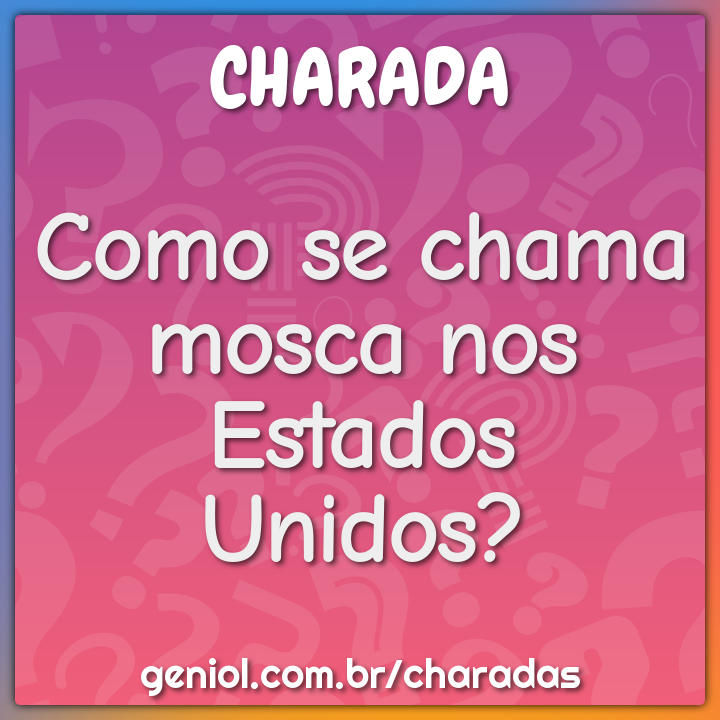 Como se chama mosca nos Estados Unidos? - Charada e Resposta