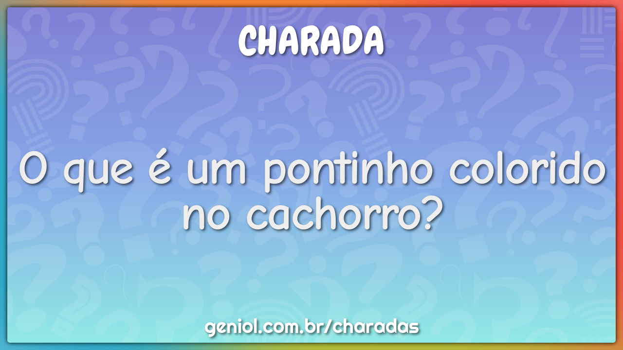 O que é um pontinho colorido no cachorro? - Charada e Resposta - Geniol