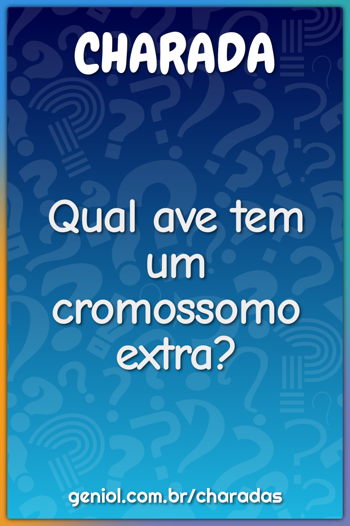 Qual ave tem um cromossomo extra?