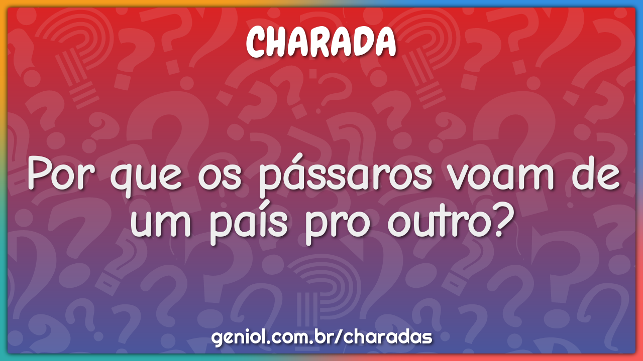 Por que os pássaros voam de um país pro outro?
