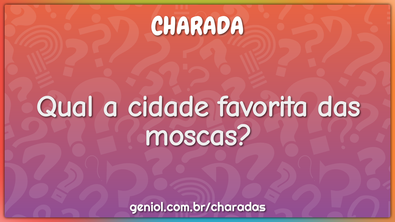 Qual a cidade favorita das moscas?