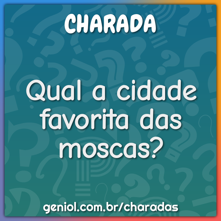 Qual a cidade favorita das moscas?