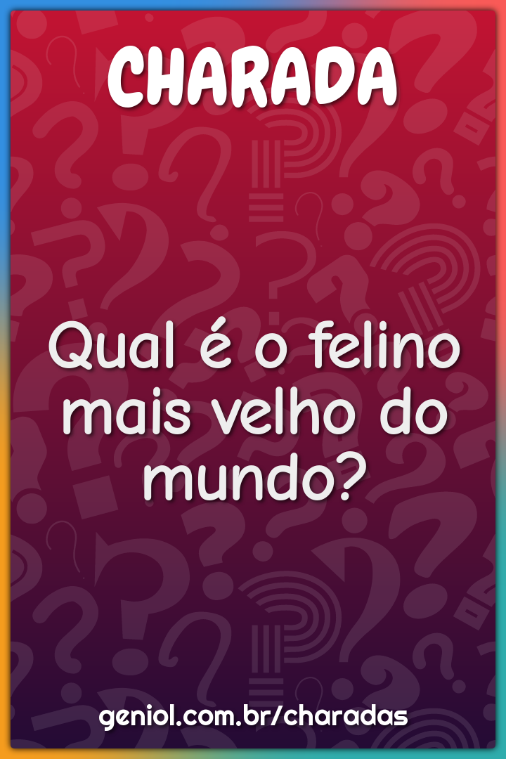 Qual é o felino mais velho do mundo?