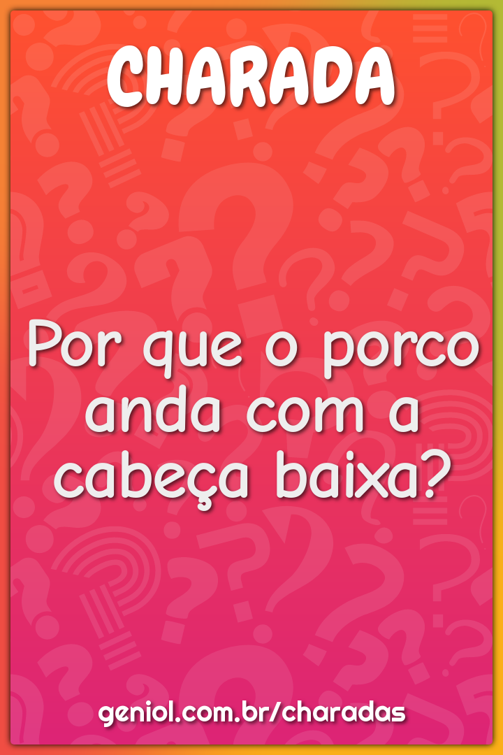 Por que o porco anda com a cabeça baixa?