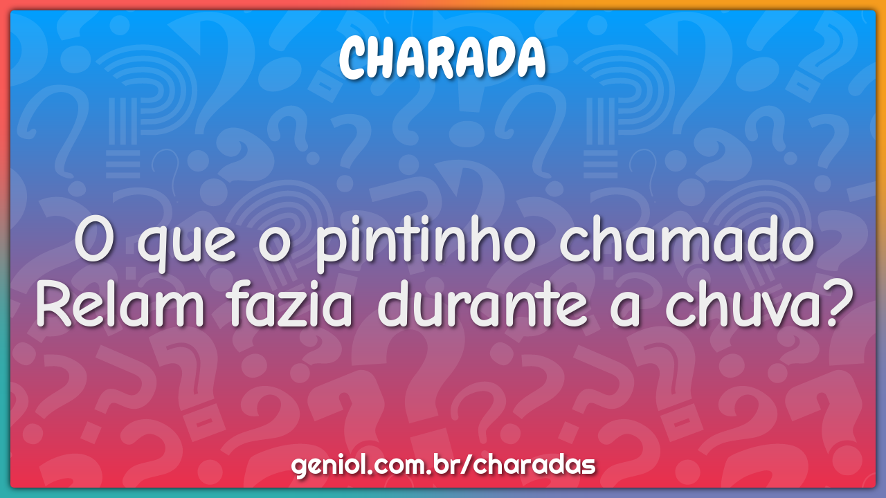 O que o pintinho chamado Relam fazia durante a chuva?