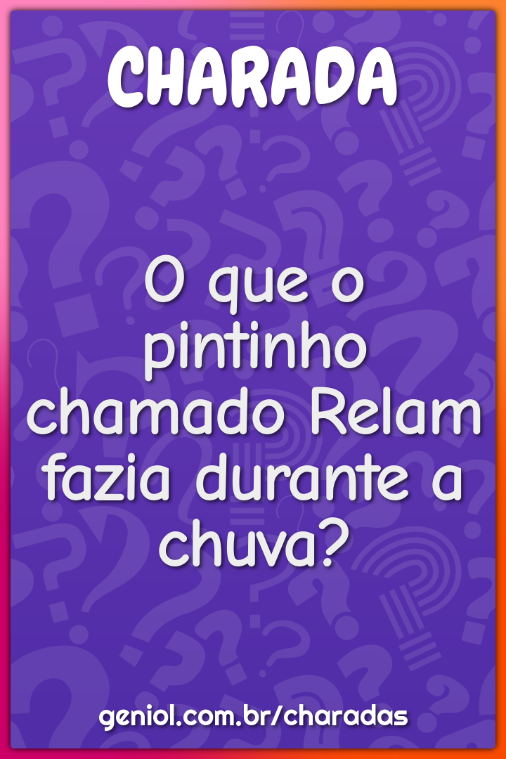 O que o pintinho chamado Relam fazia durante a chuva?