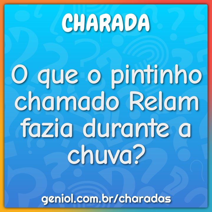 O que o pintinho chamado Relam fazia durante a chuva?