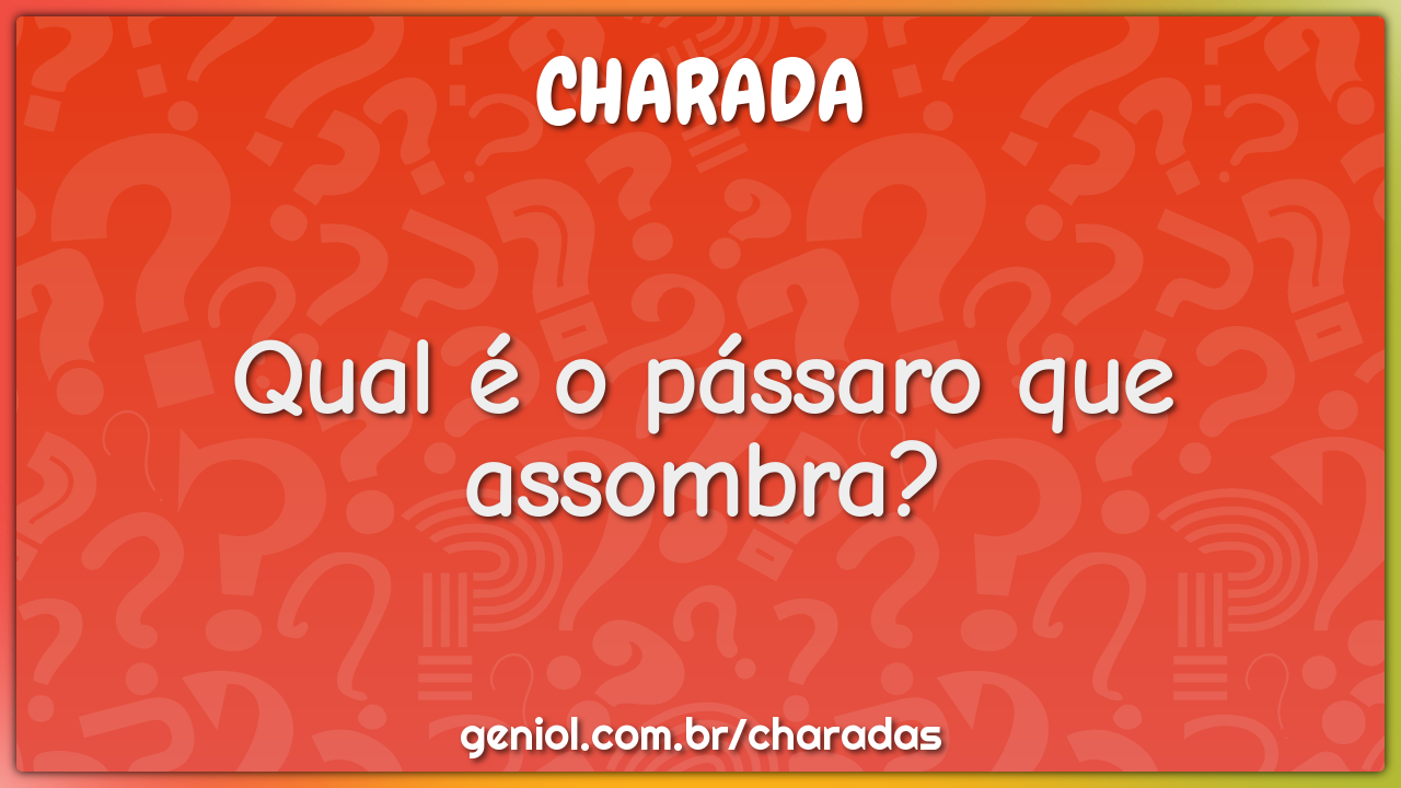 Qual é o pássaro que assombra?