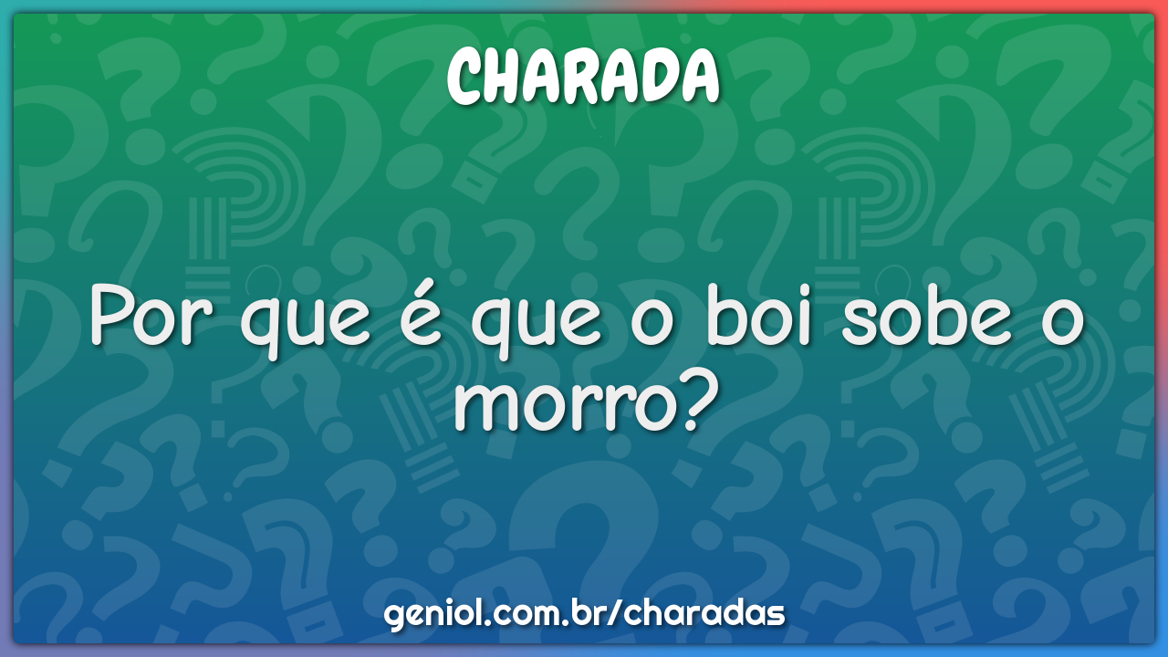 Por que é que o boi sobe o morro?