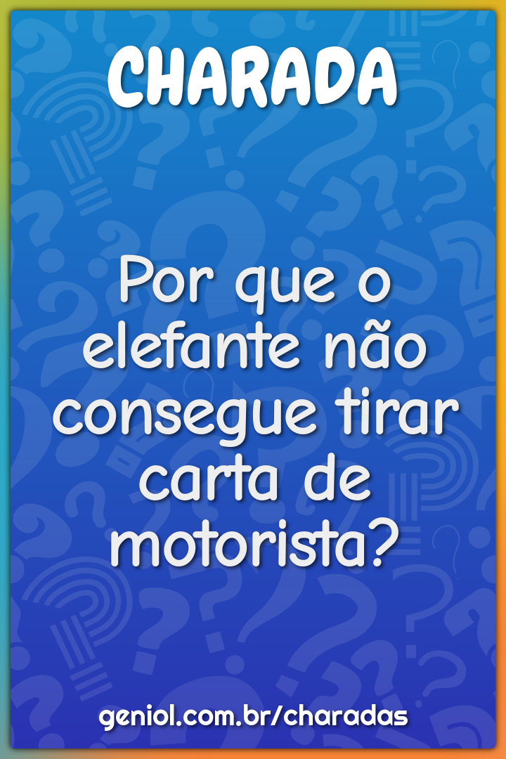 Por que o elefante não consegue tirar carta de motorista?