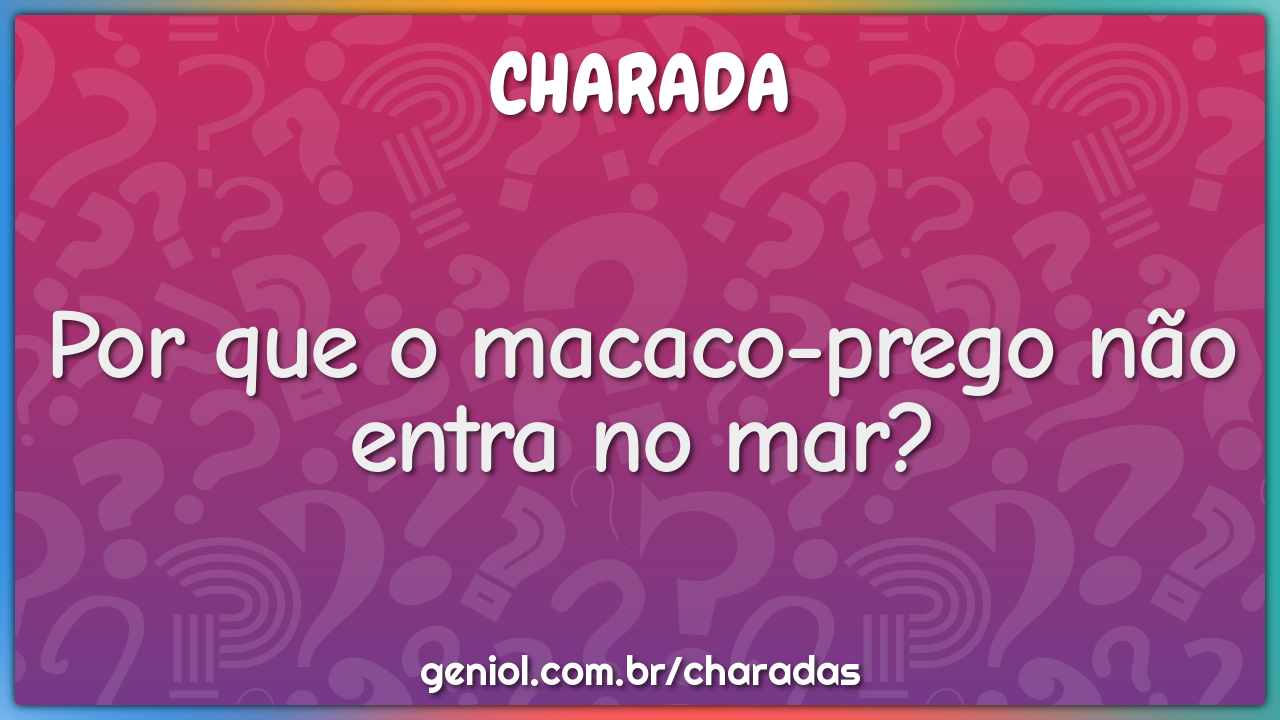 Por que o macaco-prego não entra no mar?