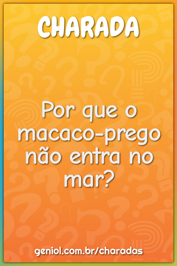 Por que o macaco-prego não entra no mar?