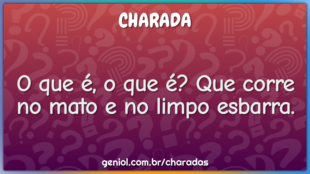 O que é, o que é? Que corre no mato e no limpo esbarra.