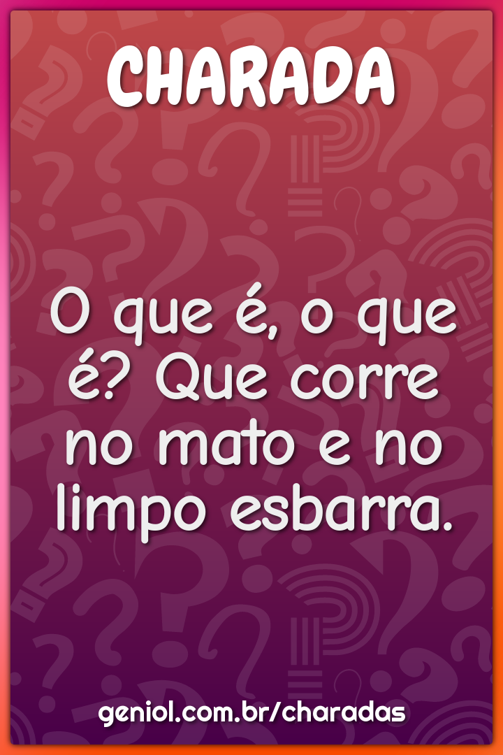 O que é, o que é? Que corre no mato e no limpo esbarra.