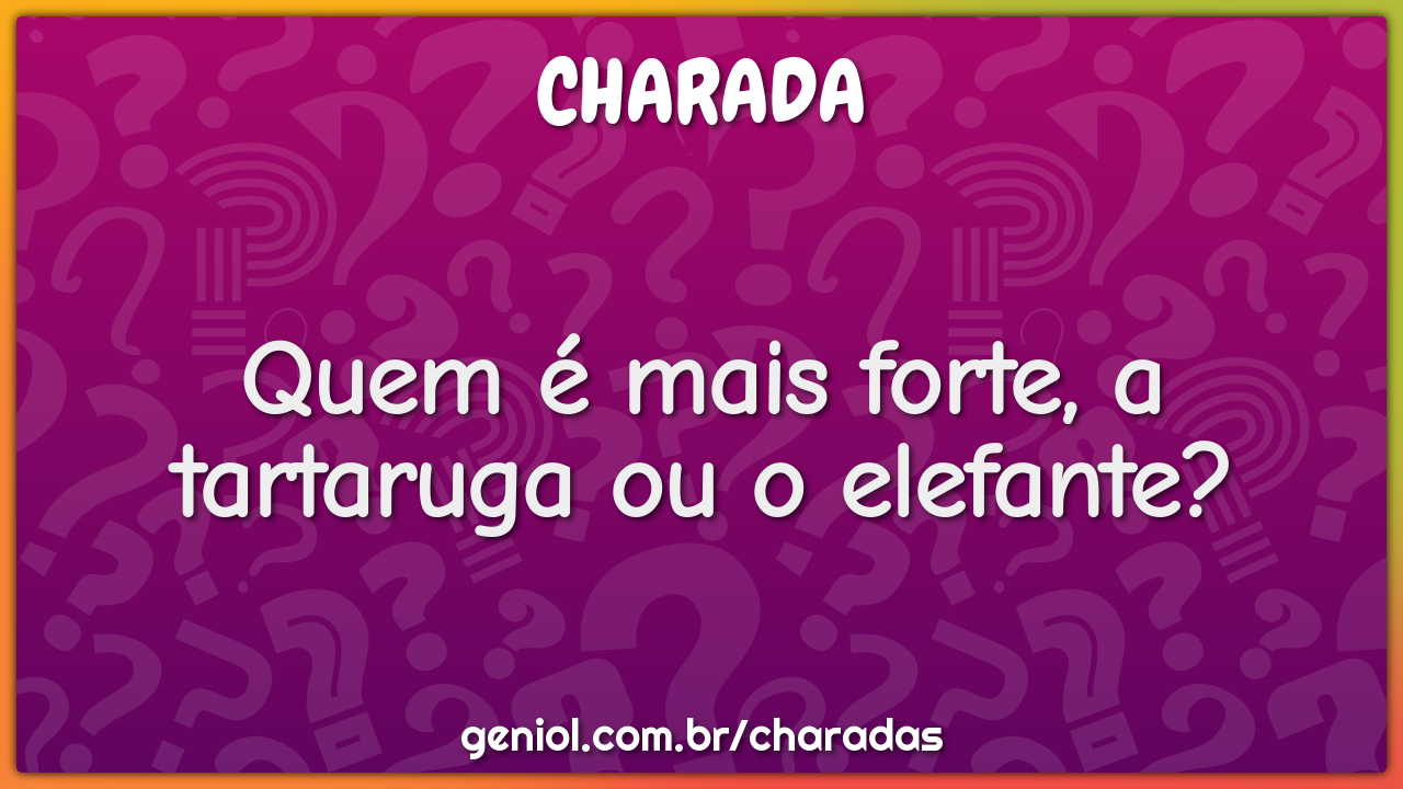 Quem é mais forte, a tartaruga ou o elefante?