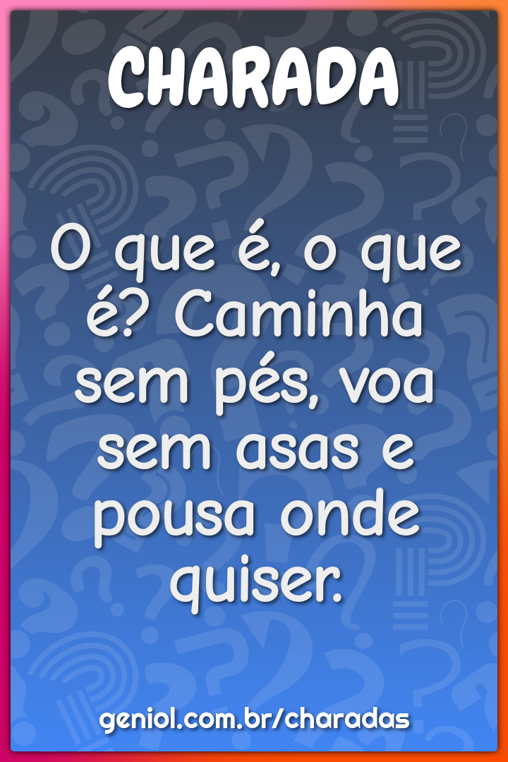 O que é, o que é? Caminha sem pés, voa sem asas e pousa onde quiser.