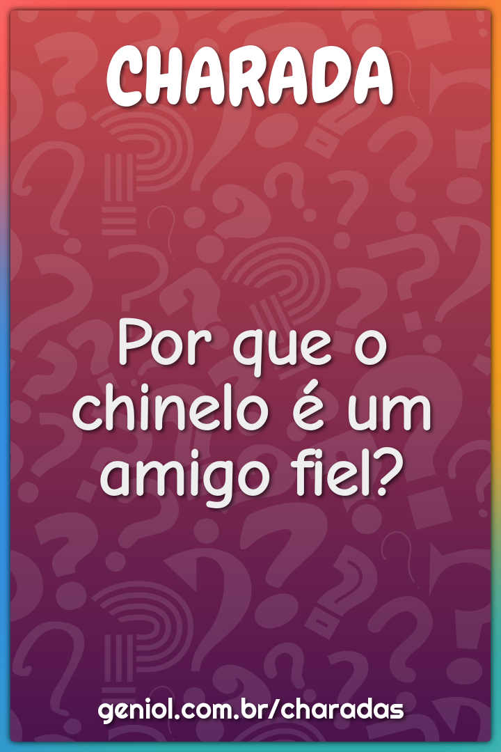 Por que o chinelo é um amigo fiel?