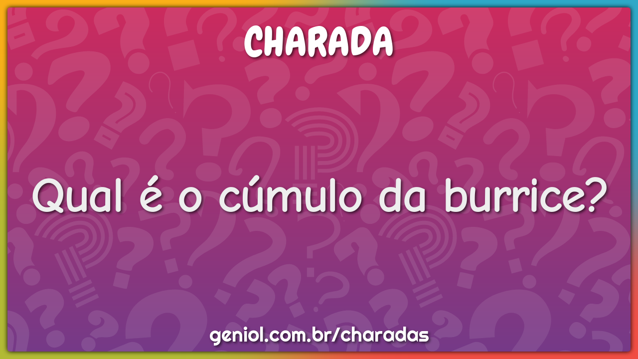 Qual é o cúmulo da burrice?