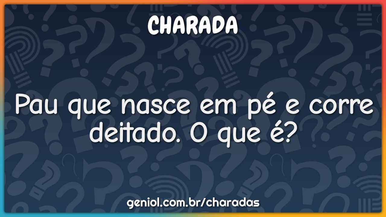 Pau que nasce em pé e corre deitado. O que é?