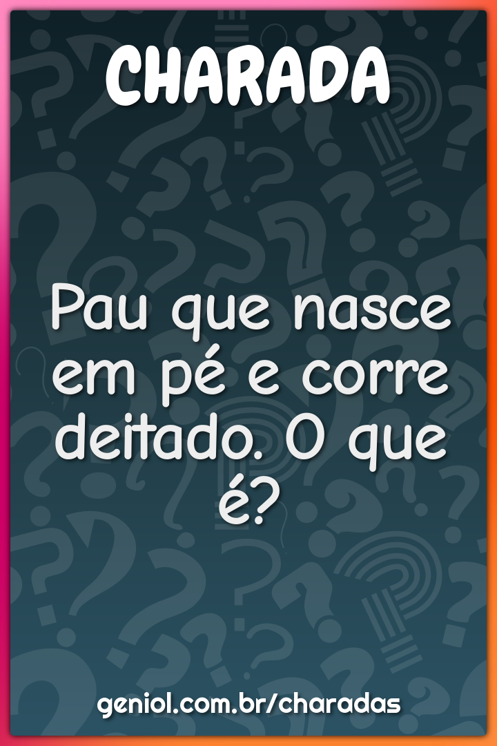 Pau que nasce em pé e corre deitado. O que é?