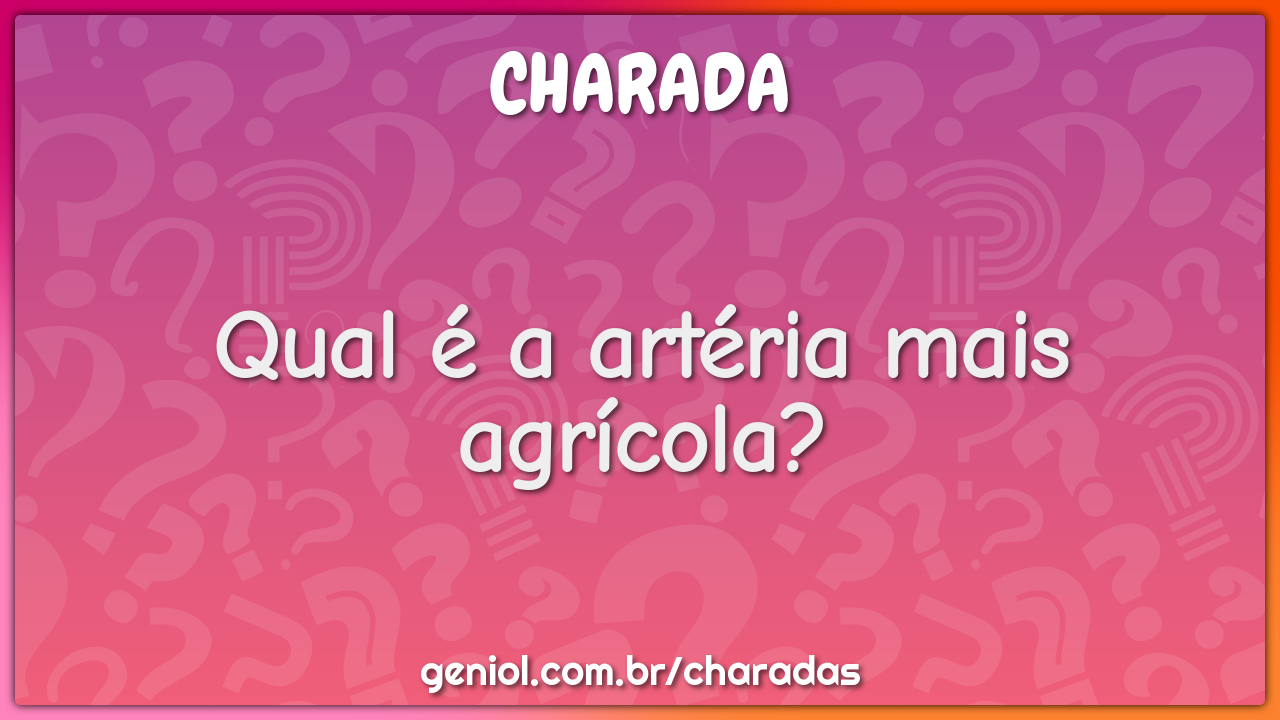 Qual é a artéria mais agrícola?