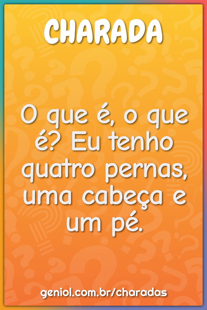 O que é, o que é? Eu tenho quatro pernas, uma cabeça e um pé.