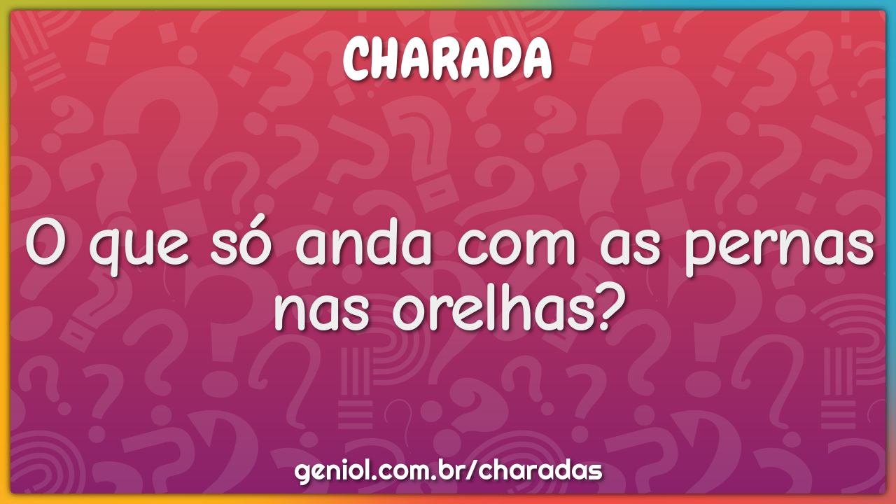 O que só anda com as pernas nas orelhas?