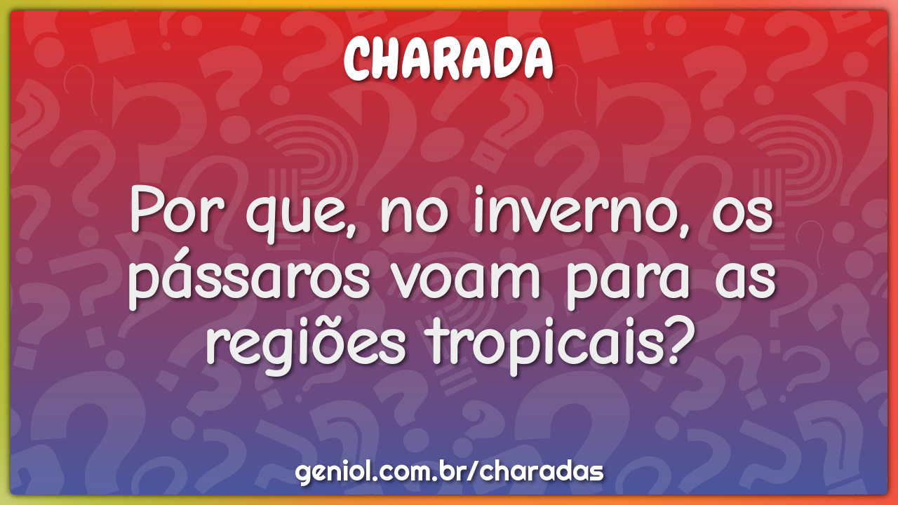 Por que, no inverno, os pássaros voam para as regiões tropicais?
