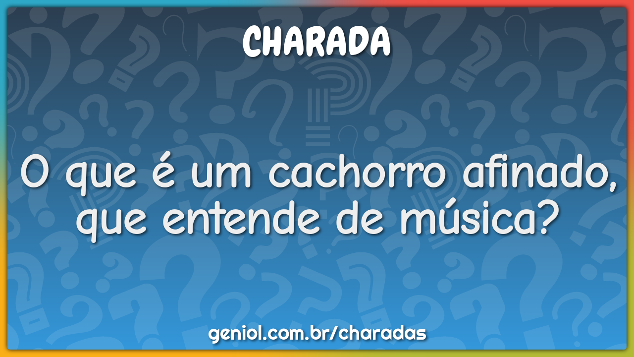 O que é um cachorro afinado, que entende de música?