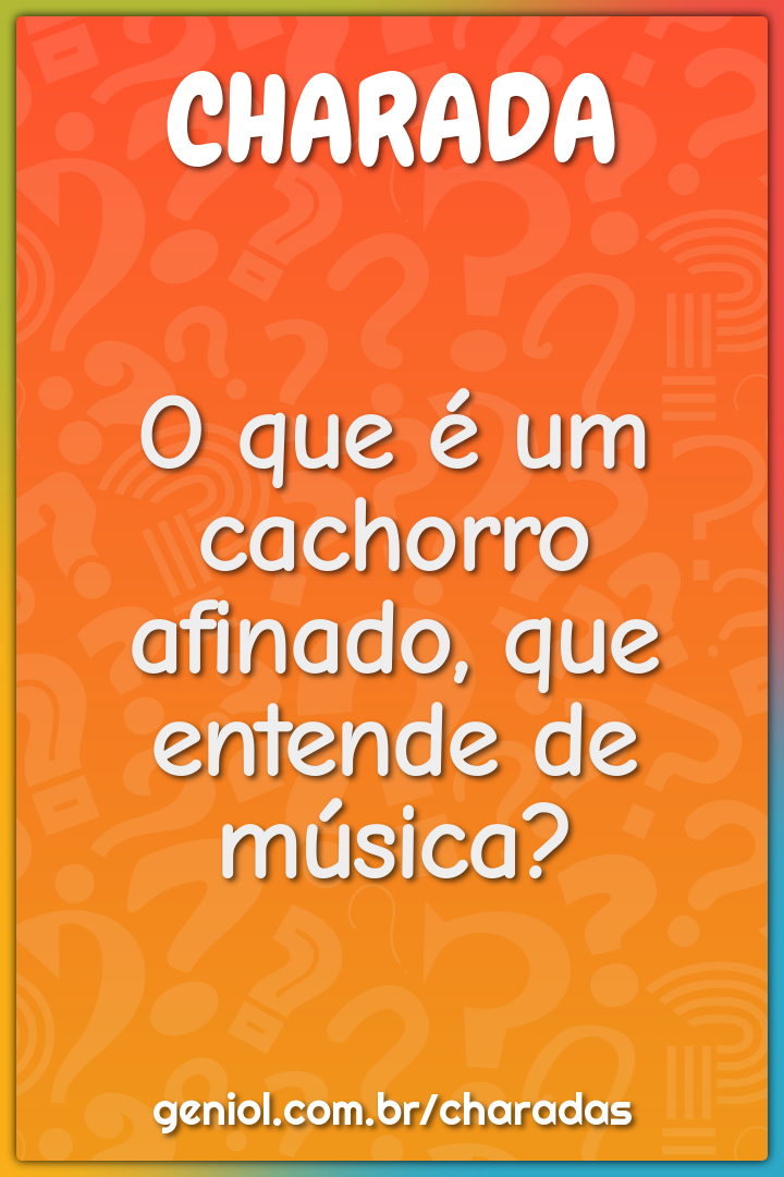 O que é um cachorro afinado, que entende de música?