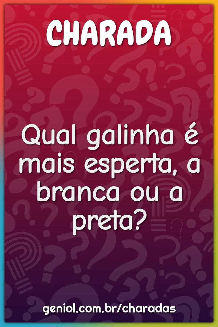 Qual galinha é mais esperta, a branca ou a preta?