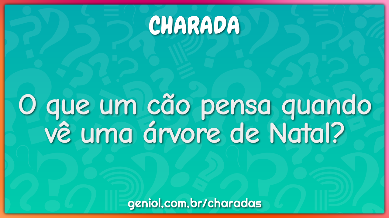 O que um cão pensa quando vê uma árvore de Natal?