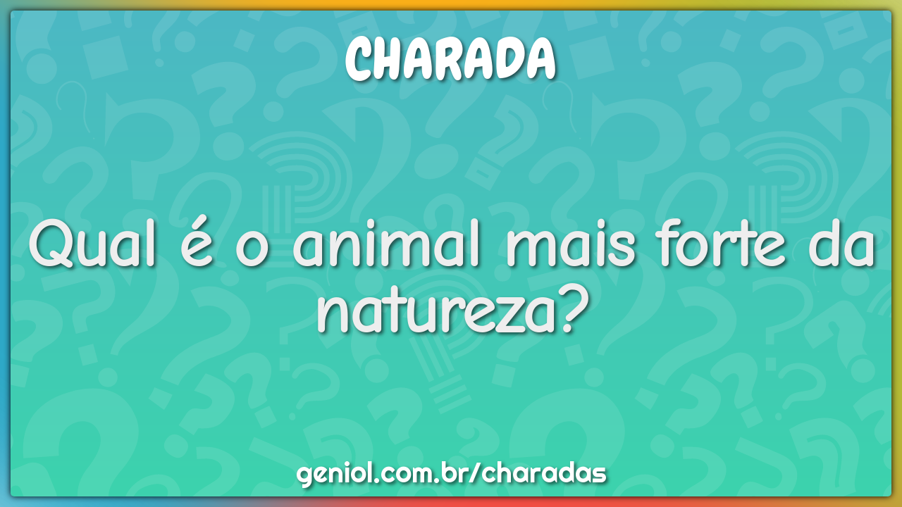 Qual é o animal mais forte da natureza?