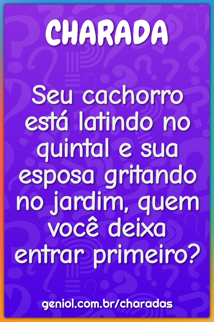 Seu cachorro está latindo no quintal e sua esposa gritando no jardim,...
